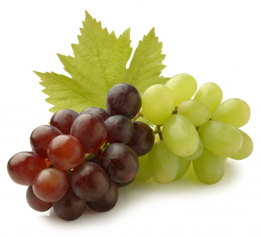 Raisins - Agro trade for import & export [Mahdy Fresh - depuis 2000]