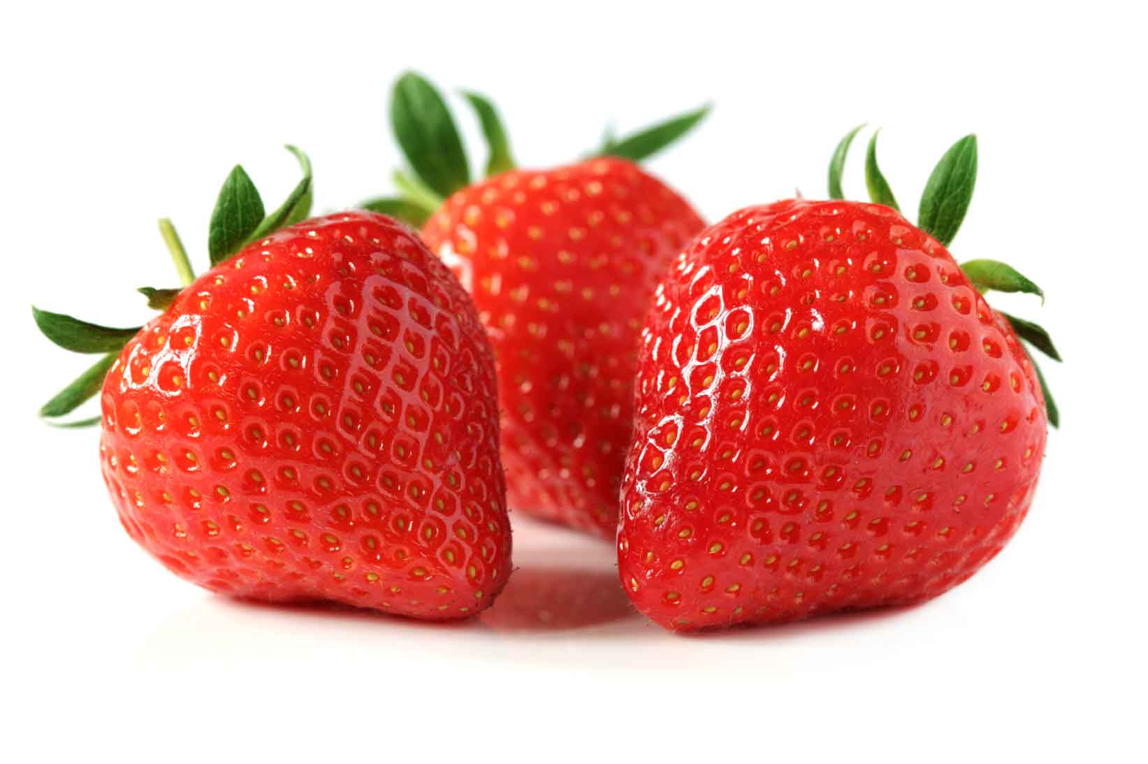 Fraise - Agro trade for import & export [Mahdy Fresh - depuis 2000]