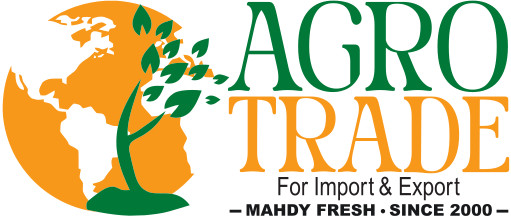 Le logo - Agro trade for import & export [Mahdy Fresh - depuis 2000]