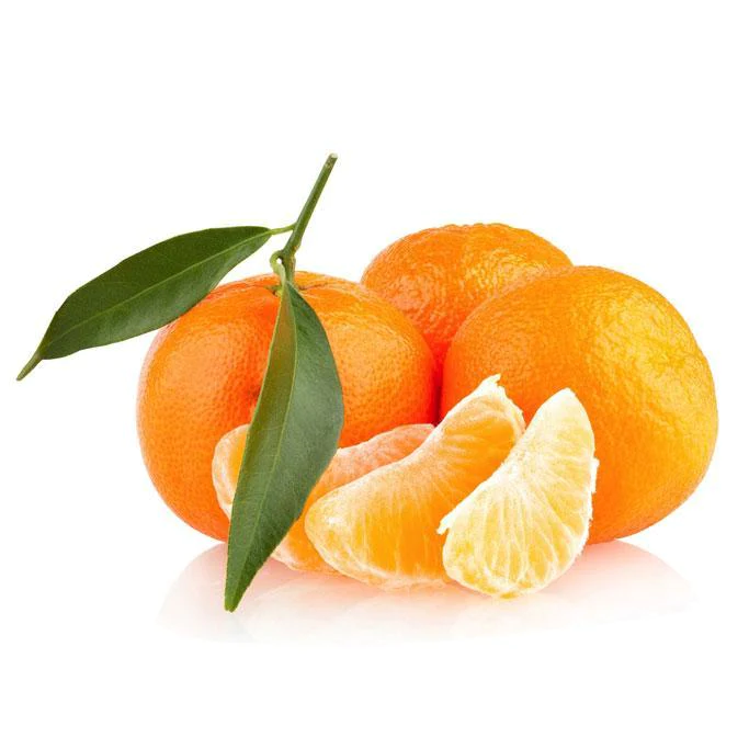 Mandarine - Agro trade for import & export [Mahdy Fresh - depuis 2000]